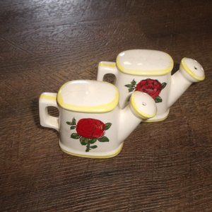 Salt pepper shakers watering can gardening